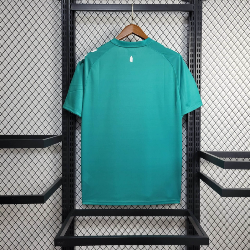 CAMISOLA EWERTON 24/25 VERDE