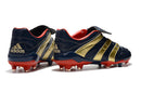 CHUTEIRA ADIDAS PREDATOR ACCELERATOR FG