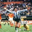 CAMISOLA RETRÔ ARGENTINA 1978 MANGA COMPRIDA